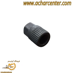 بکس هزار خاری دینام